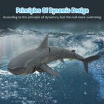 GizmoVine T07 Remote Control Simulation Shark USB Rechargeable for Swimming Pool, Pond Toy - Image 4