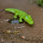 Little Friends Crocodile - Image 7