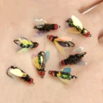 10PCS Bionic Fly Lure Bait Fly Hook Winged Insect Bait White Strips Realistic Bottle Flying Sea Bass Predatorium Freshwater Bait - Image 3