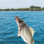 1Pc Soft Lure Vibration Jig Head Hooks T Tail 17.5g24g34.5g Artificial Bait for Perch Pike Bass Fishing Lure Sea Silicon Bait - Image 2