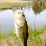 New 10PCS Quality Artificial Silicone Soft Bait Spiner Wobbler Shad 3.4g/11g For Pike Bass T Tail Jigging Pesca Soft Fishing Lur - Image 4