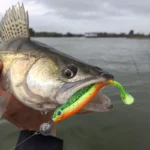 Fishing Weight Sinker Swivel Round Ball Sinkers with Snaps Deep Water Bullet Weight Jig Saltwater Freshwater DIY Fishing Tackle - Image 5
