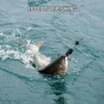 Fishing Weight Sinker Swivel Round Ball Sinkers with Snaps Deep Water Bullet Weight Jig Saltwater Freshwater DIY Fishing Tackle - Image 6